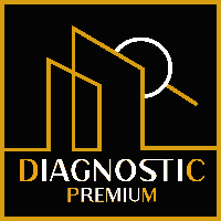 DIAGNOSTIC PREMIUM Infiltrométrie sur Treffléan